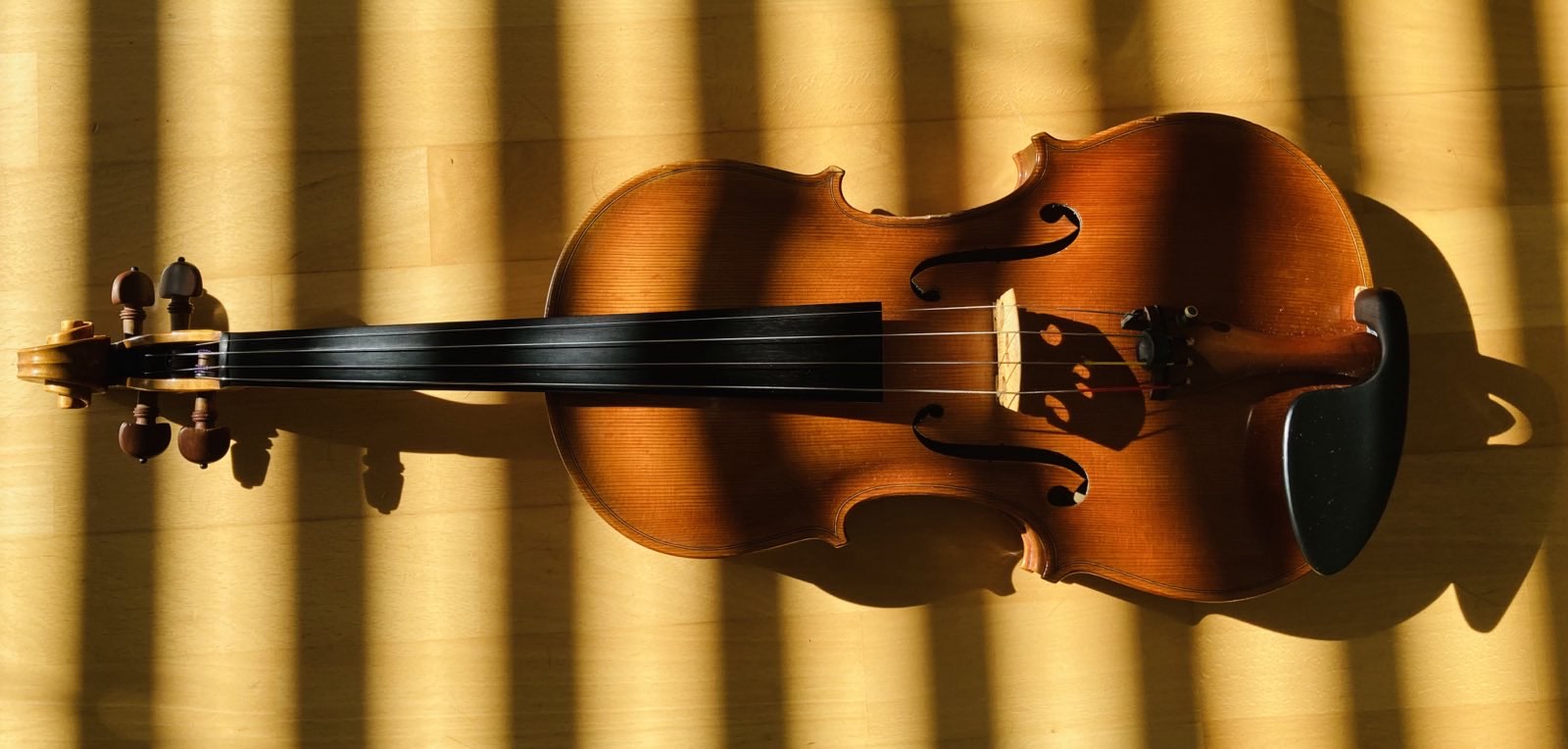 my Rex England viola